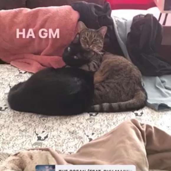 Meet your Posher, Legend - Picture 10 of 11